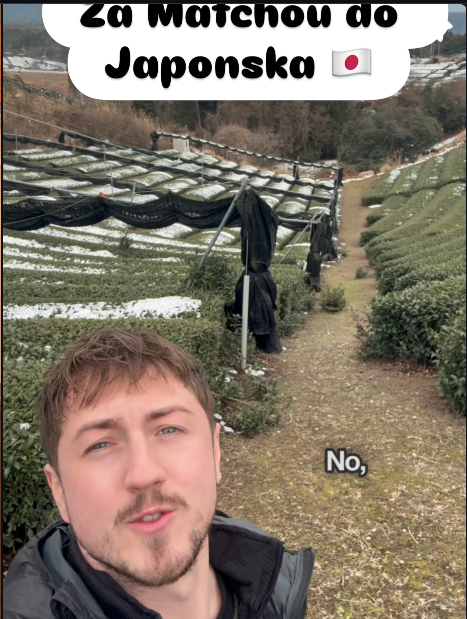 Instagram U Matchy 2